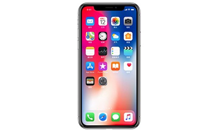 I bought an iPhone X, but I still lack a phone case!